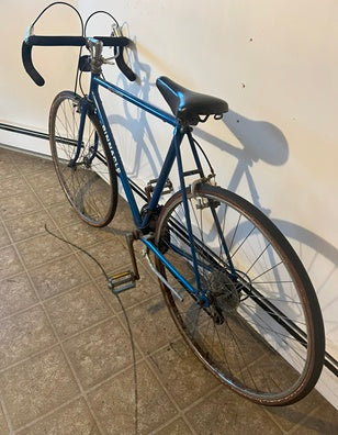 Pinnacle 12 Speed Bicycle - USED - Local Pick- Up